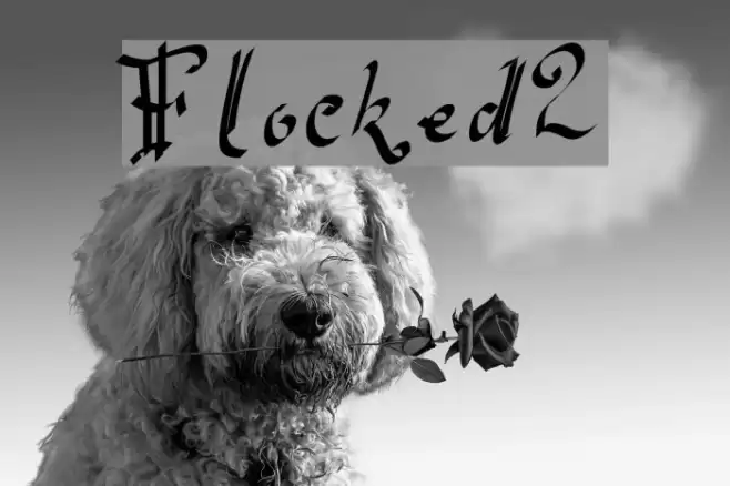 Flocked2 Font examples