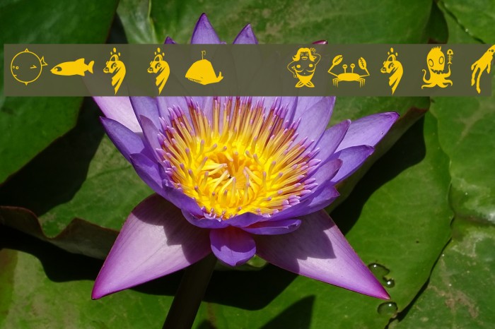 Flood Icons Font examples