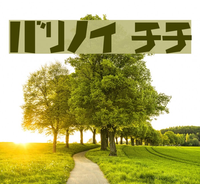 Flooke Kana Font examples