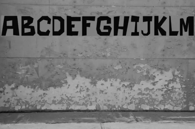 Flooke Font examples