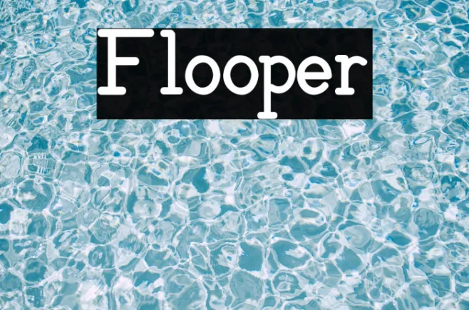 Flooper Example 2