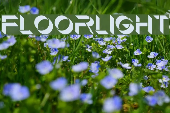 Floorlight Example 1