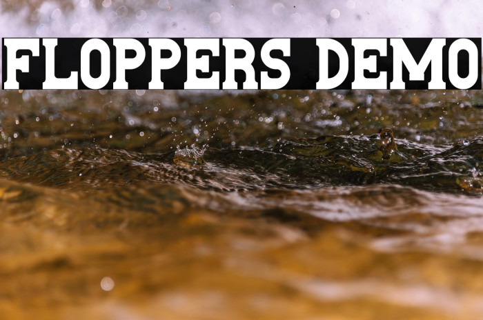 Floppers Demo Example 1