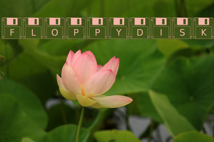 FloppyDisk Font examples