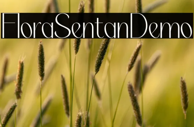 Flora Sentani Demo Example 1