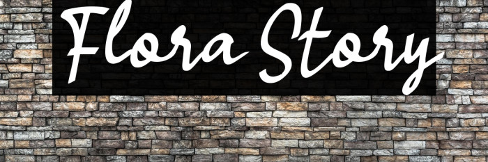 Flora Story Example 1