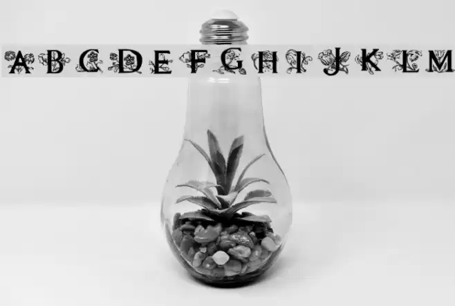 Flora1 Font examples