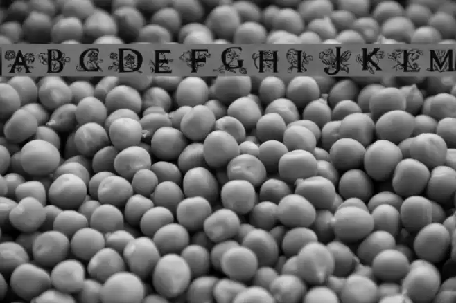 Flora1 Font examples