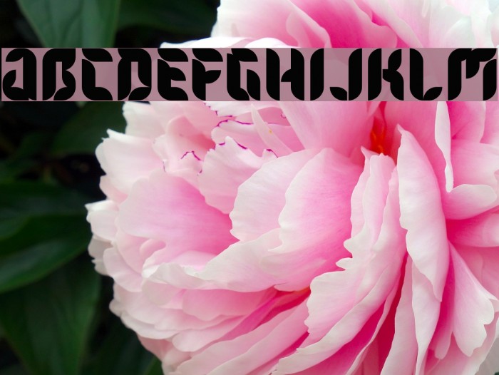Flora Font examples