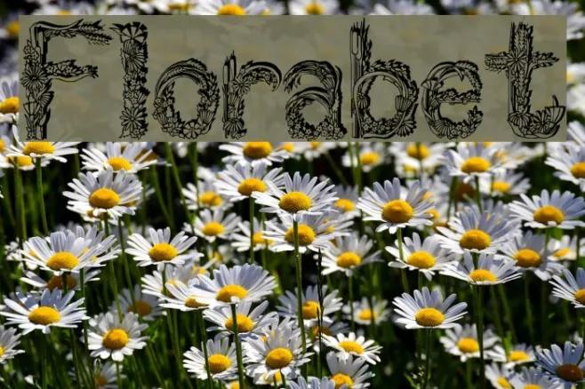 Florabet Example 3