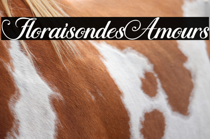 Floraison des Amours Example 3