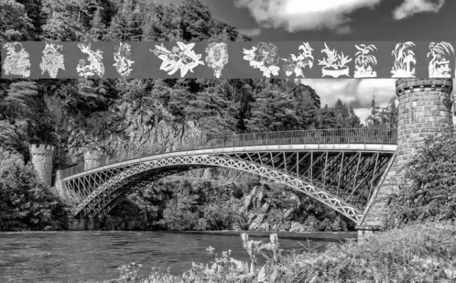 Floral 2 خط examples