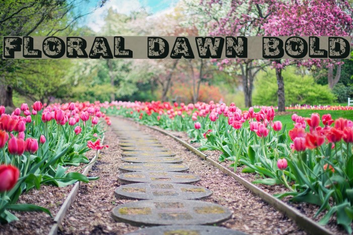 Floral Dawn Bold Font examples