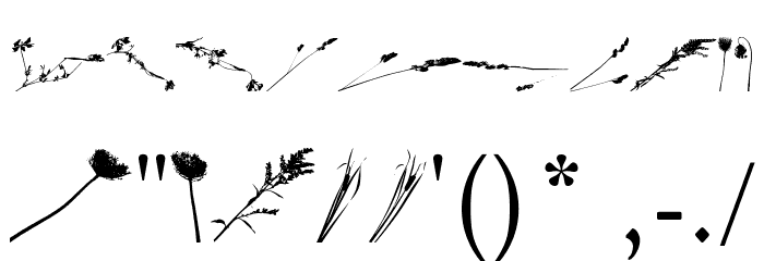 Floral Flush Font OTHER CHARS