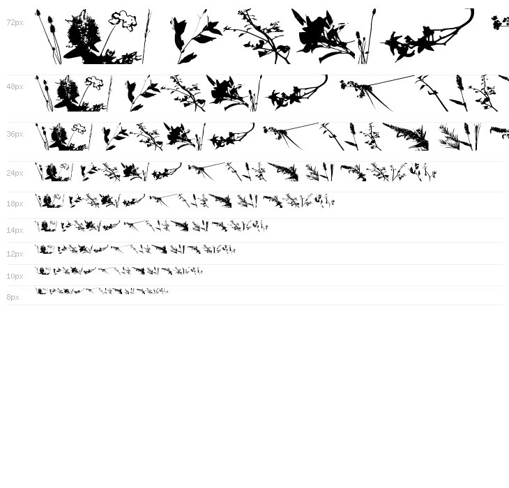 Floral Flush Waterfall