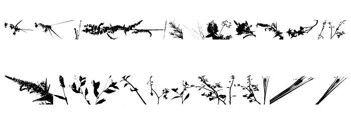 Floral Flush Font LOWERCASE