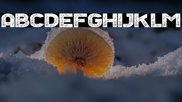 Floral Season Reguler Example 1