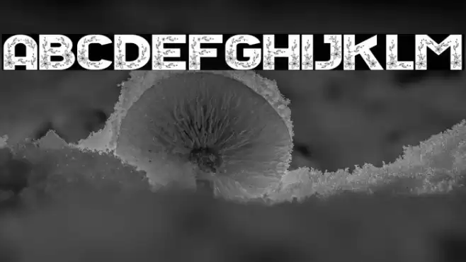 Floral Season Reguler Font examples