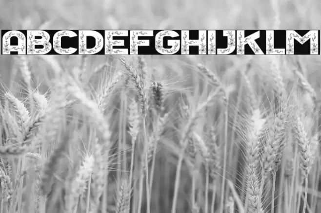 Floral Season Reguler Font examples