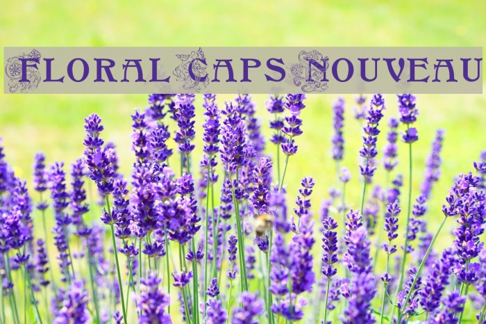 FloralCapsNouveau Font examples