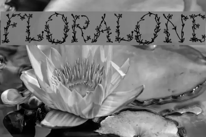 FloralOne Font examples