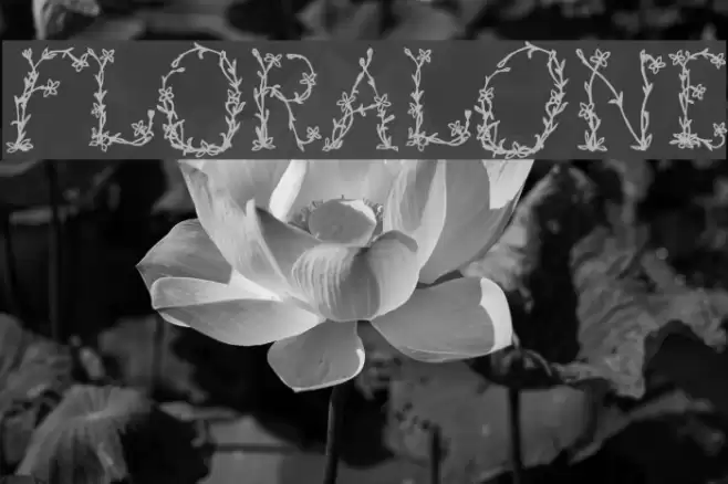 FloralOne Font examples