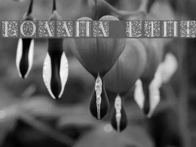 Floralalpha Light Font examples