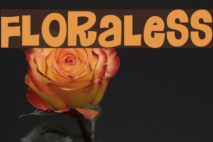 Floraless Font examples