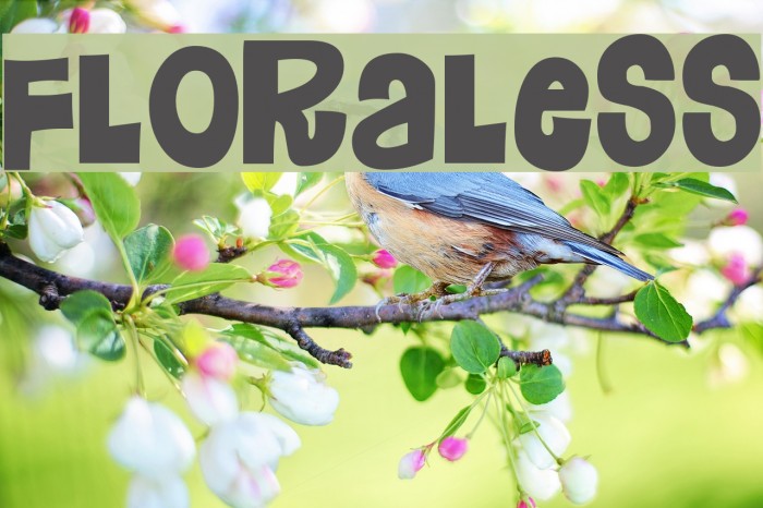 Floraless Font examples