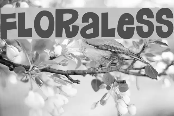 Floraless フォント examples