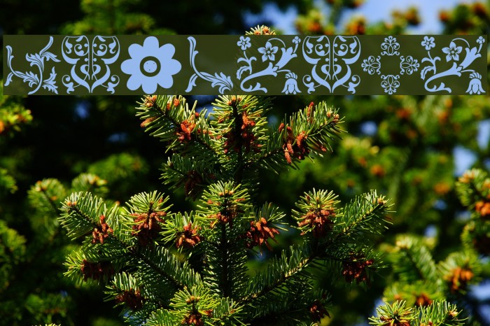 Floralia Font examples