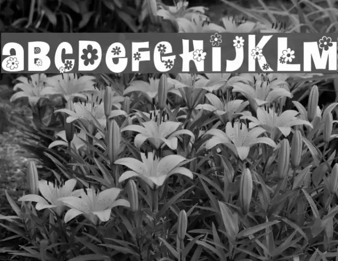 Floralies Font examples