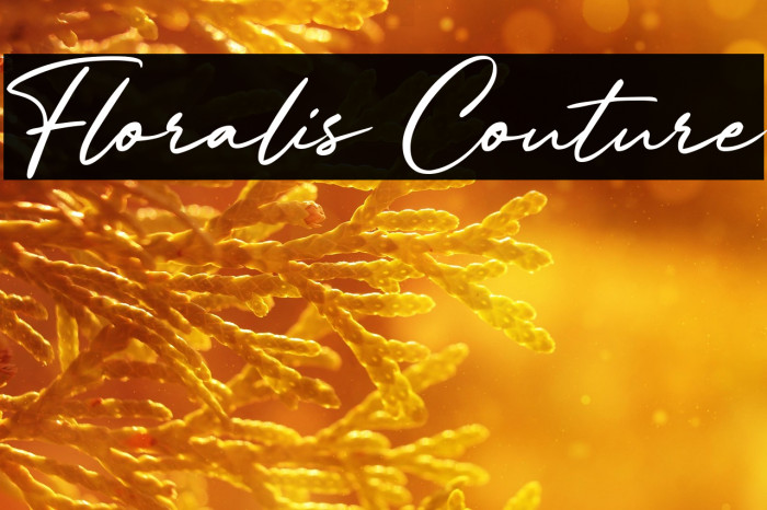 Floralis Couture Example 1