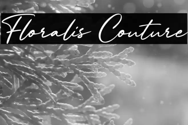 Floralis Couture Fonte examples