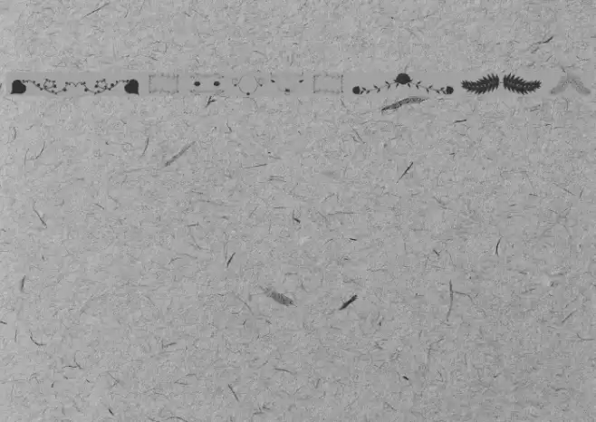 Florality Font examples