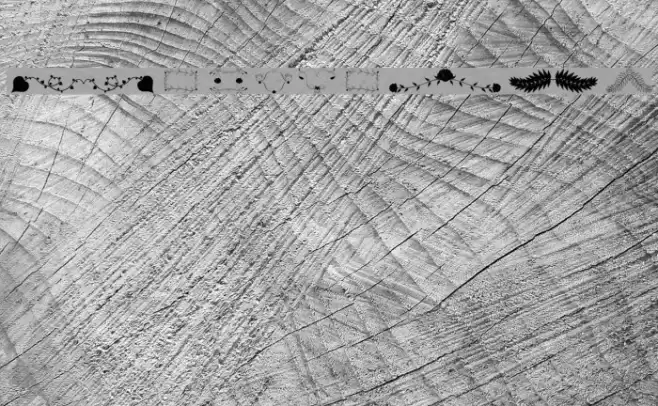 Florality Font examples