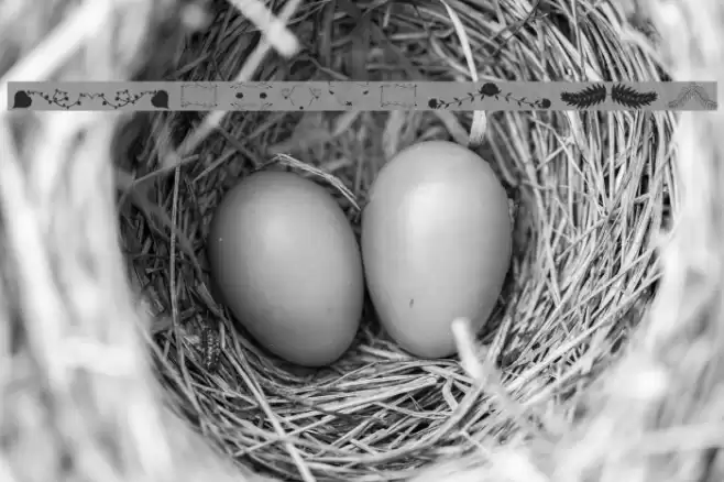 Florality Font examples