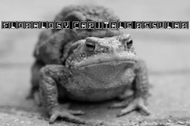 Floralogy Capitals Regular Font examples