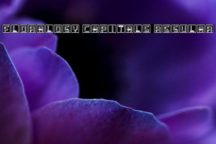 Floralogy Capitals Regular Example 3