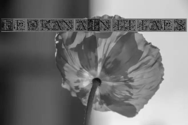 Florana_Initials 字体 examples