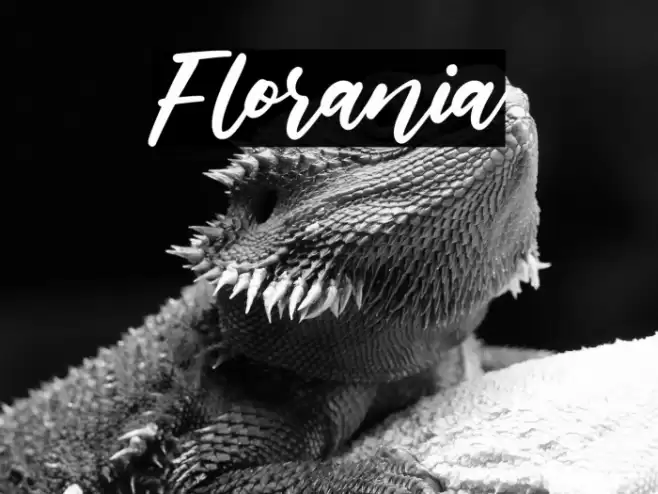 Florania Font examples