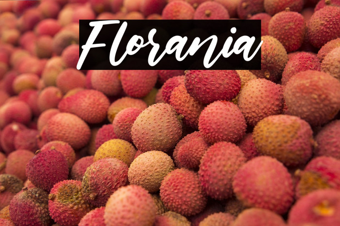 Florania Example 3