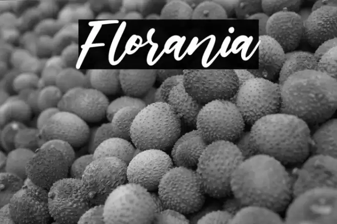 Florania Font examples