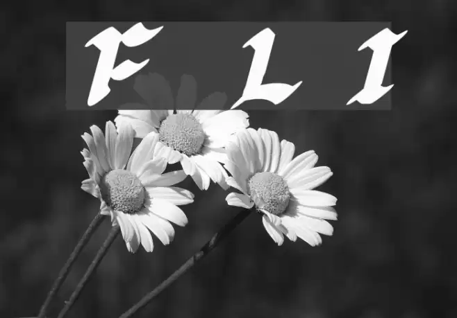 Florante at Laura Italic Font examples