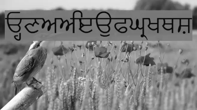 Florap Font examples