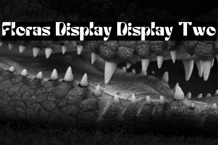 Floras Display Display Two Example 1