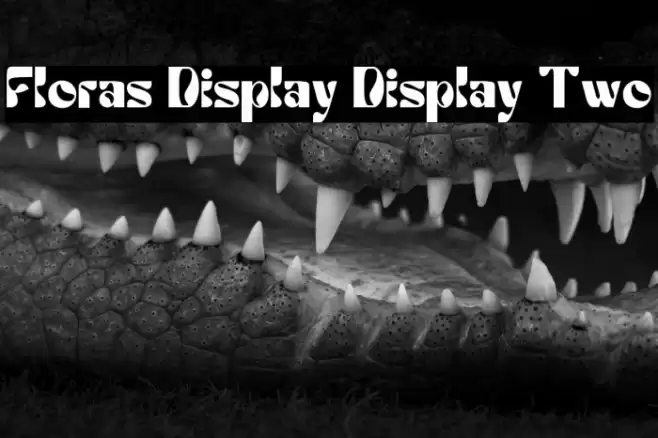 Floras Display Display Two Шрифта examples