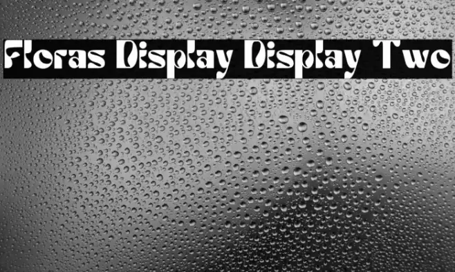 Floras Display Display Two Шрифта examples