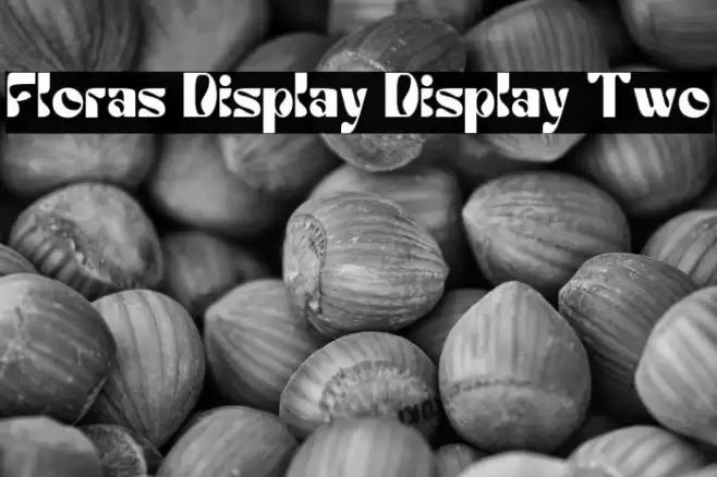 Floras Display Display Two Шрифта examples