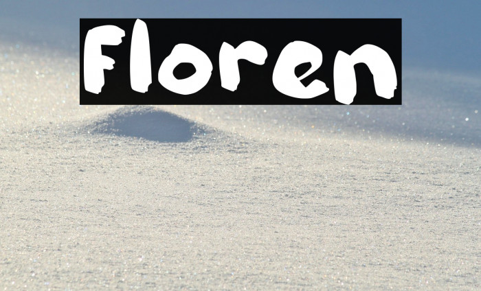 Floren Example 1